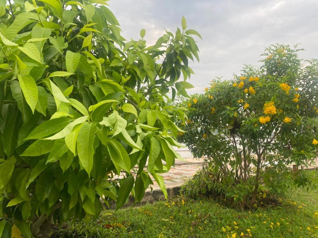 Romyen House Hotel Ban Nong Nam Khan Екстериор снимка